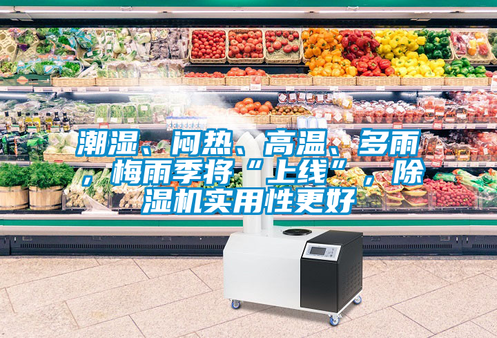 潮濕、悶熱、高溫、多雨,梅雨季將“上線”,除濕機實用性更好