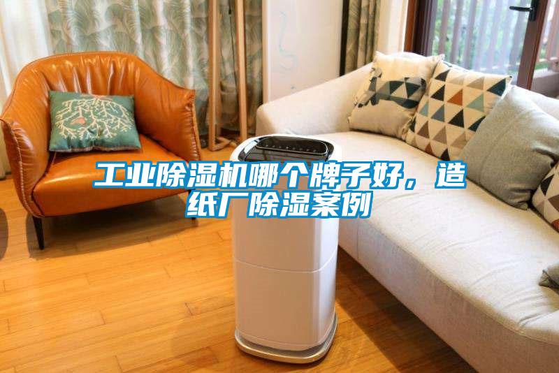 工業(yè)除濕機(jī)哪個牌子好，造紙廠除濕案例