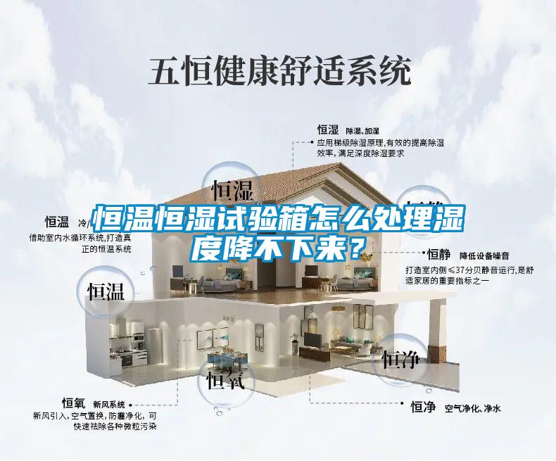 恒溫恒濕試驗箱怎么處理濕度降不下來？