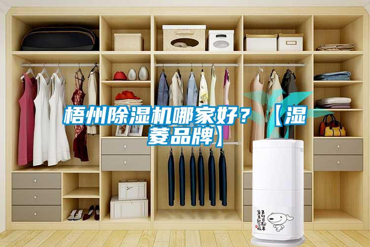 梧州除濕機(jī)哪家好？【濕菱品牌】