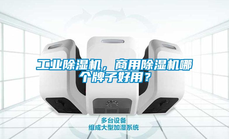 工業(yè)除濕機，商用除濕機哪個牌子好用？