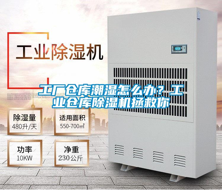 工廠倉庫潮濕怎么辦？工業(yè)倉庫除濕機拯救你