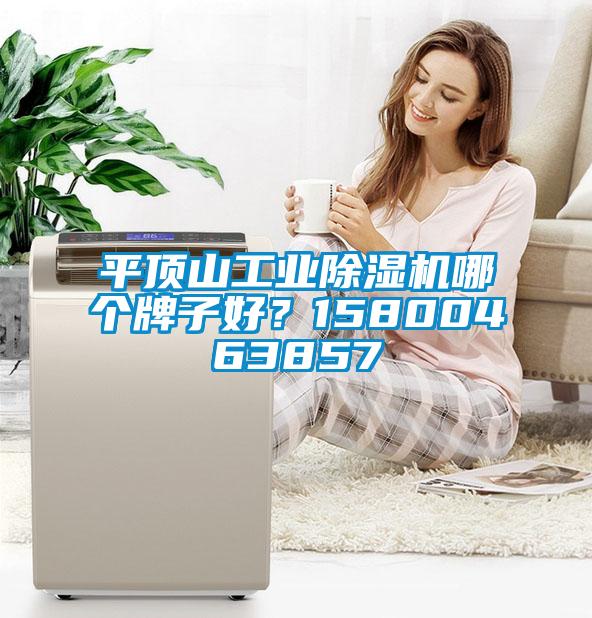 平頂山工業(yè)除濕機(jī)哪個牌子好？15800463857