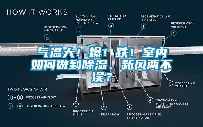 氣溫大！爆！跌！室內(nèi)如何做到除濕、新風兩不誤？