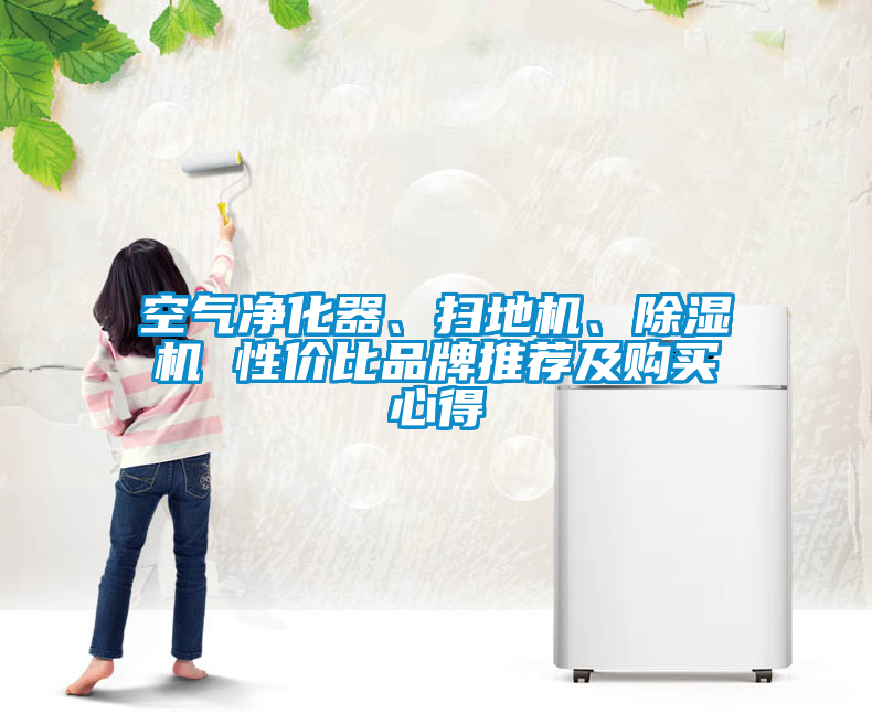 空氣凈化器、掃地機(jī)、除濕機(jī) 性價(jià)比品牌推薦及購買心得