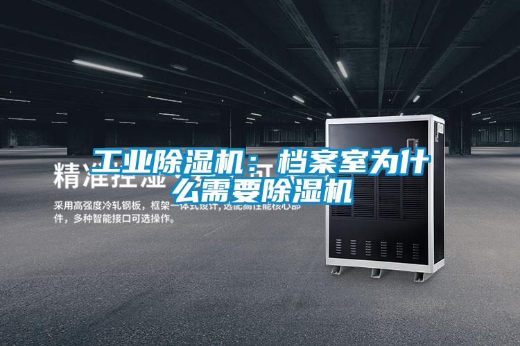 工業(yè)除濕機(jī)：檔案室為什么需要除濕機(jī)