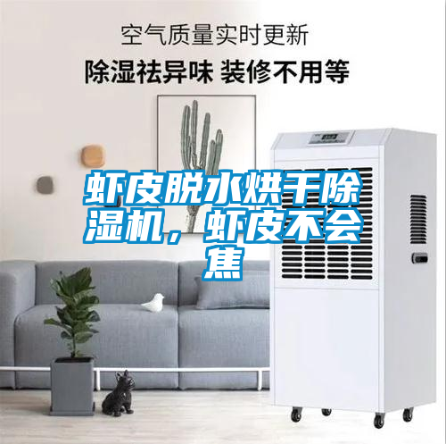 蝦皮脫水烘干除濕機，蝦皮不會焦