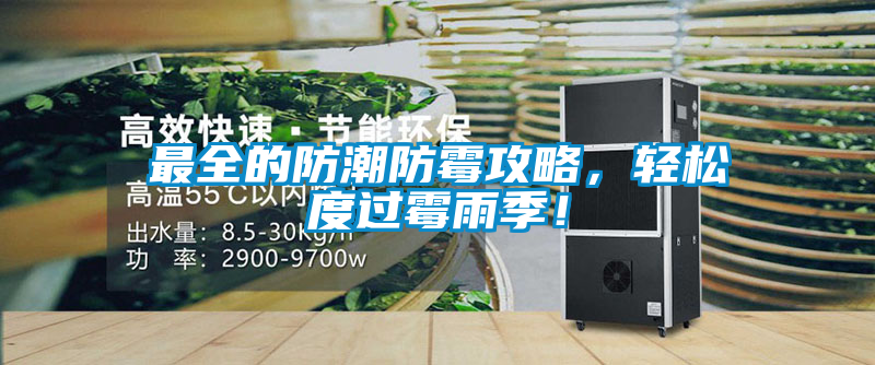 最全的防潮防霉攻略，輕松度過霉雨季！