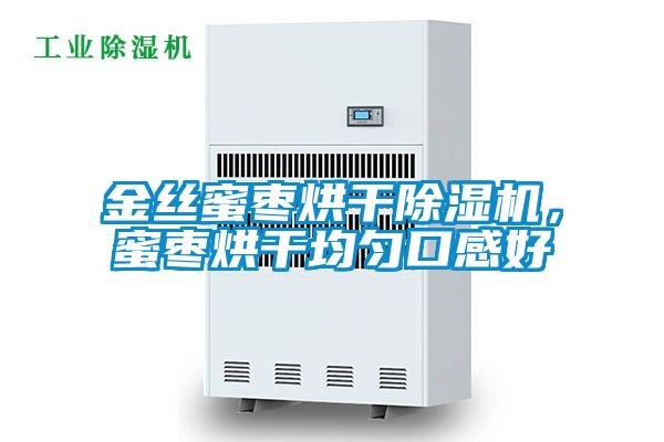 金絲蜜棗烘干除濕機，蜜棗烘干均勻口感好