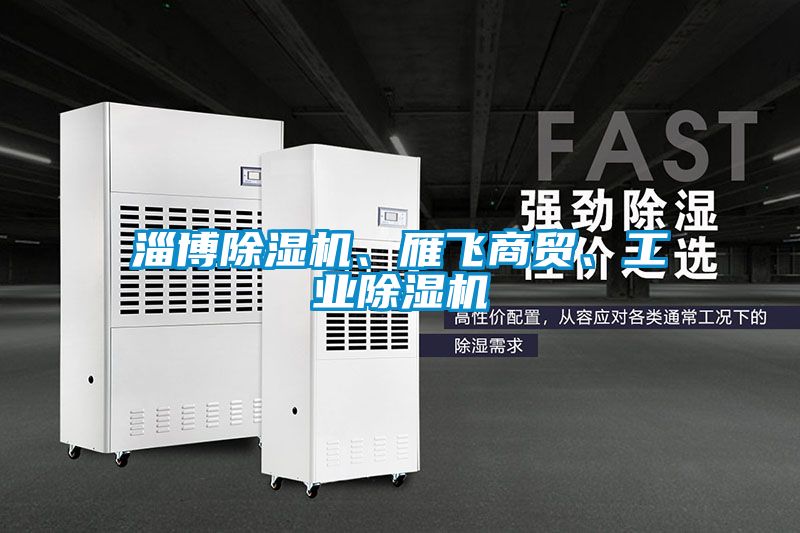 淄博除濕機、雁飛商貿、工業除濕機