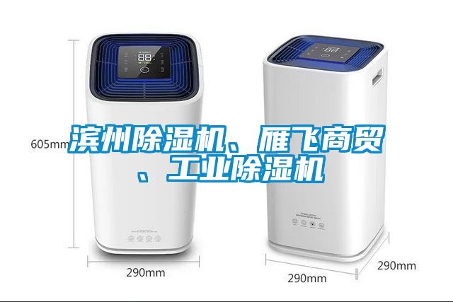 濱州除濕機、雁飛商貿(mào)、工業(yè)除濕機