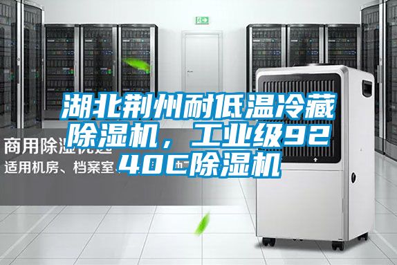 湖北荊州耐低溫冷藏除濕機，工業級9240C除濕機