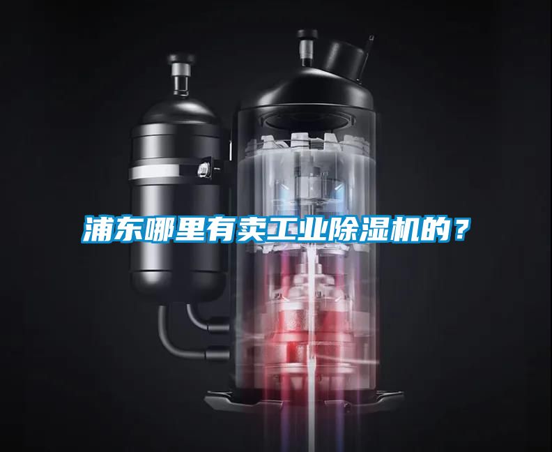 浦東哪里有賣工業(yè)除濕機的？