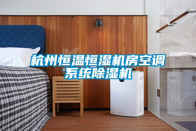 杭州恒溫恒濕機房空調(diào)系統(tǒng)除濕機