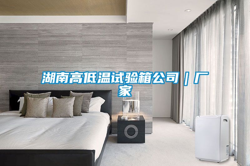 湖南高低溫試驗(yàn)箱公司|廠家