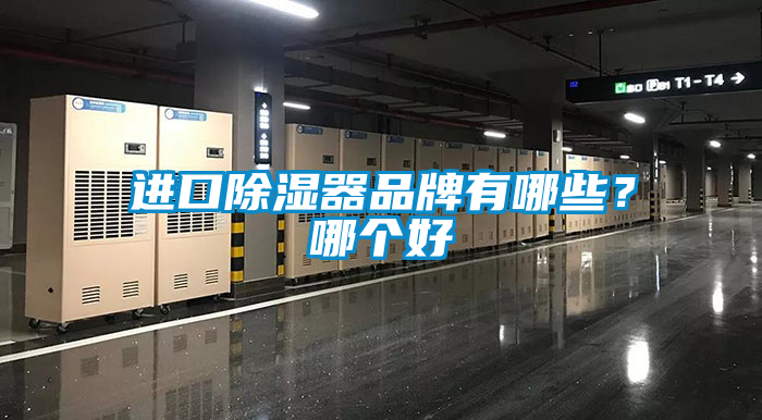 進口除濕器品牌有哪些？哪個好