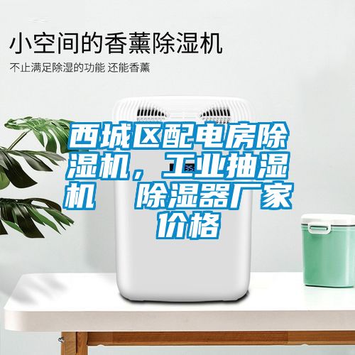 西城區(qū)配電房除濕機，工業(yè)抽濕機  除濕器廠家 價格
