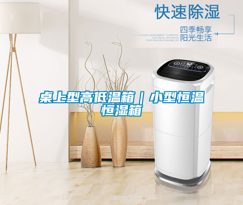 桌上型高低溫箱|小型恒溫恒濕箱