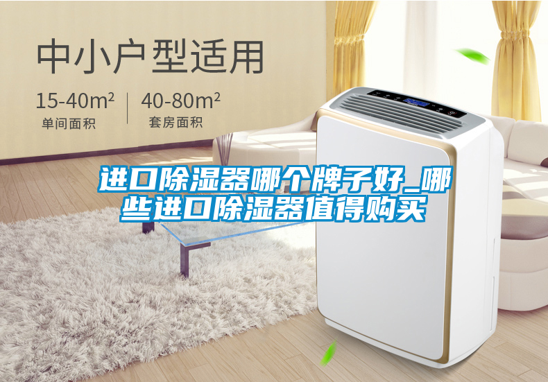 進(jìn)口除濕器哪個(gè)牌子好_哪些進(jìn)口除濕器值得購(gòu)買