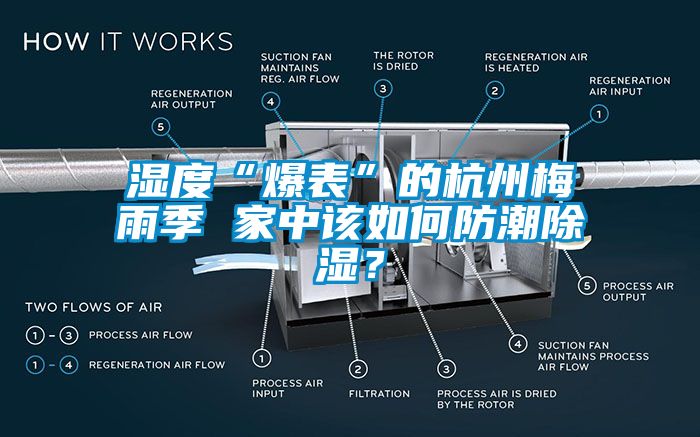 濕度“爆表”的杭州梅雨季 家中該如何防潮除濕？