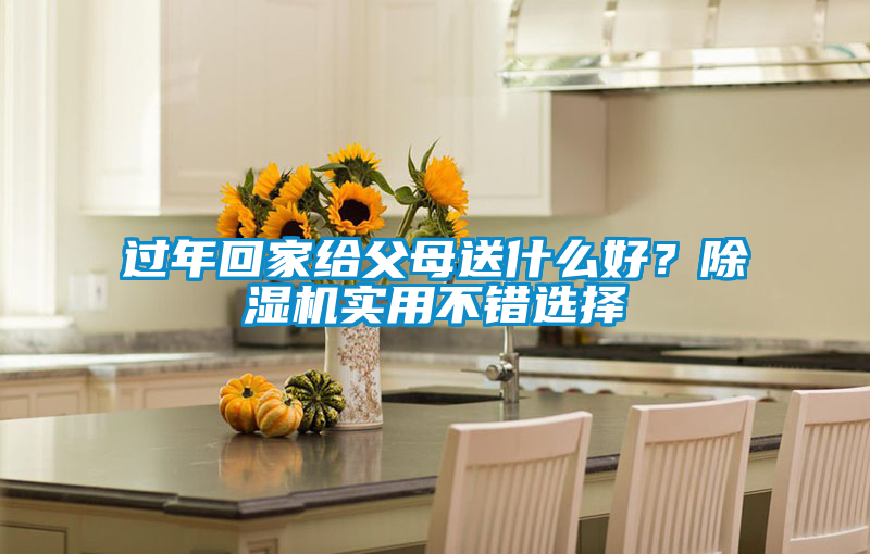 過年回家給父母送什么好？除濕機實用不錯選擇