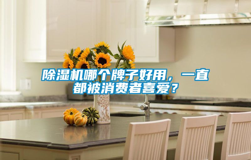 除濕機哪個牌子好用，一直都被消費者喜愛？