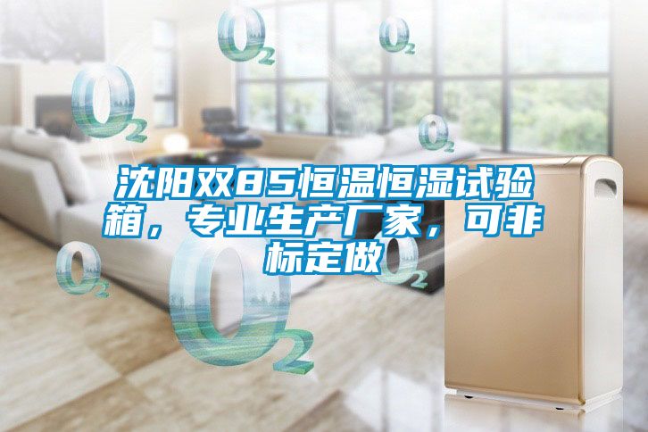 沈陽(yáng)雙85恒溫恒濕試驗(yàn)箱，專業(yè)生產(chǎn)廠家，可非標(biāo)定做