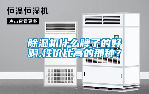 除濕機(jī)什么牌子的好啊,性價(jià)比高的那種？