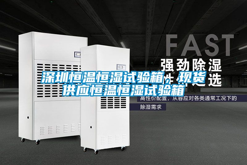 深圳恒溫恒濕試驗箱，現貨供應恒溫恒濕試驗箱