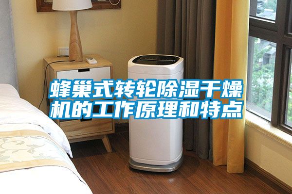 蜂巢式轉(zhuǎn)輪除濕干燥機(jī)的工作原理和特點(diǎn)