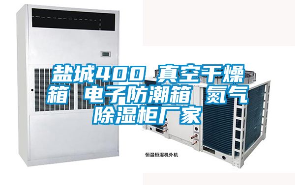 鹽城400℃真空干燥箱 電子防潮箱 氮?dú)獬凉窆駨S家