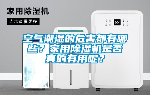 空氣潮濕的危害都有哪些？家用除濕機是否真的有用呢？