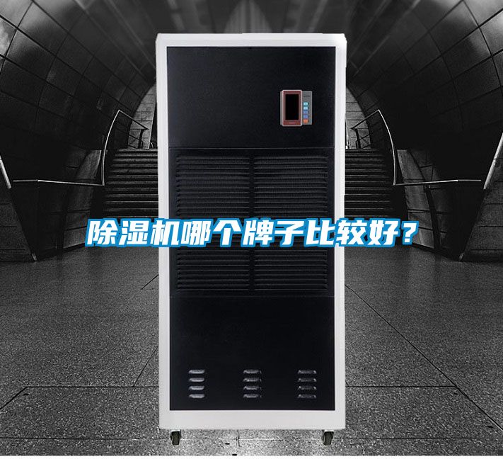 除濕機(jī)哪個(gè)牌子比較好？