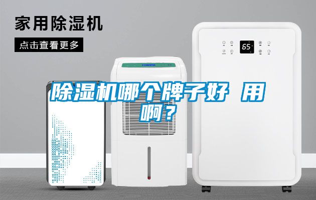 除濕機(jī)哪個(gè)牌子好 用啊？