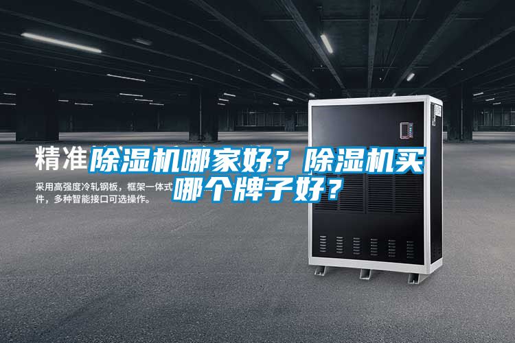 除濕機(jī)哪家好？除濕機(jī)買哪個(gè)牌子好？