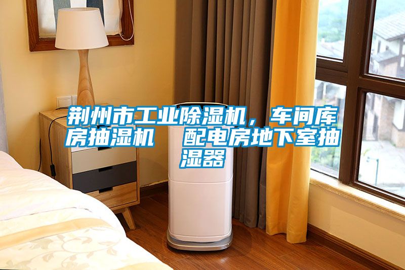 荊州市工業除濕機，車間庫房抽濕機  配電房地下室抽濕器