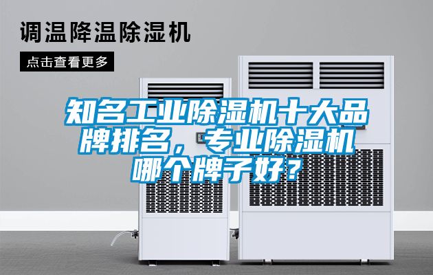 知名工業(yè)除濕機(jī)十大品牌排名，專業(yè)除濕機(jī)哪個牌子好？