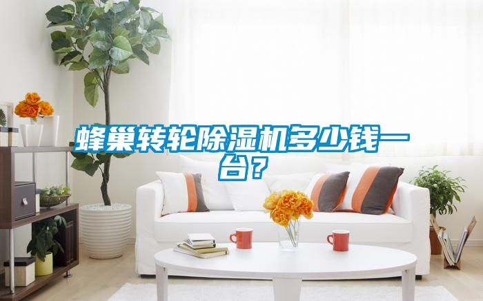 蜂巢轉(zhuǎn)輪除濕機(jī)多少錢一臺(tái)？
