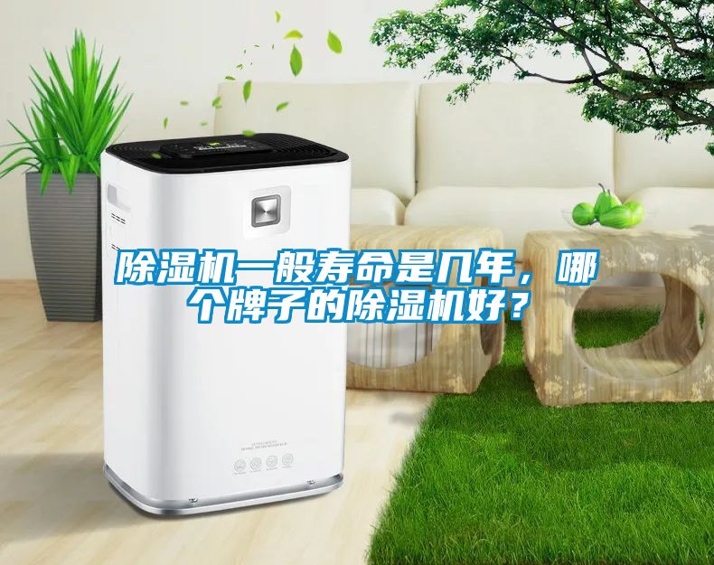 除濕機(jī)一般壽命是幾年，哪個牌子的除濕機(jī)好？