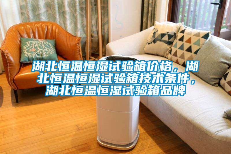 湖北恒溫恒濕試驗箱價格，湖北恒溫恒濕試驗箱技術條件，湖北恒溫恒濕試驗箱品牌