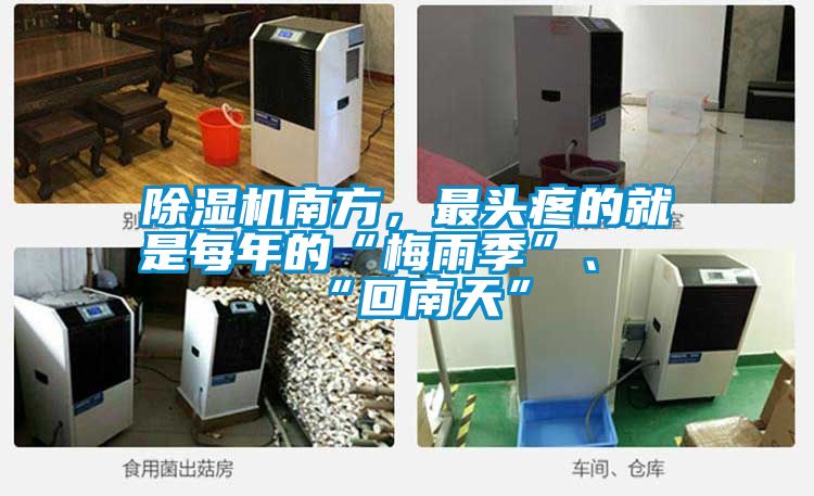 除濕機(jī)南方，最頭疼的就是每年的“梅雨季”、“回南天”