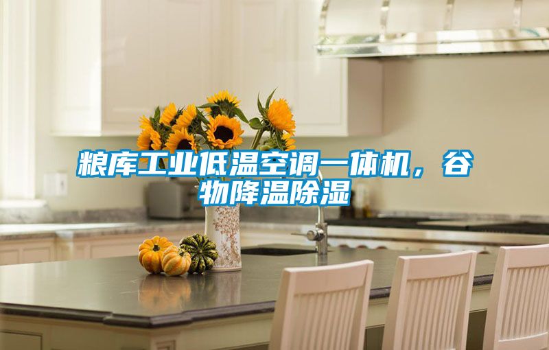 糧庫工業低溫空調一體機，谷物降溫除濕
