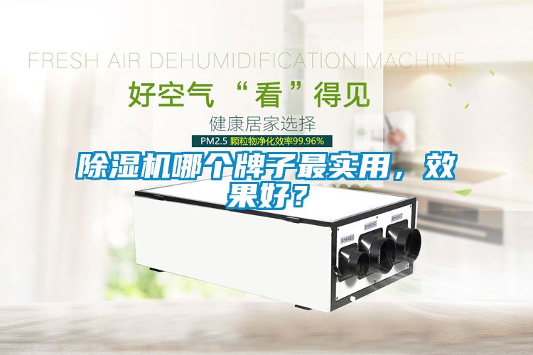 除濕機(jī)哪個(gè)牌子最實(shí)用，效果好？