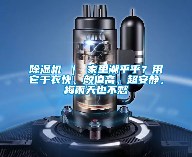 除濕機(jī) | 家里潮乎乎?用它干衣快、顏值高、超安靜,梅雨天也不愁