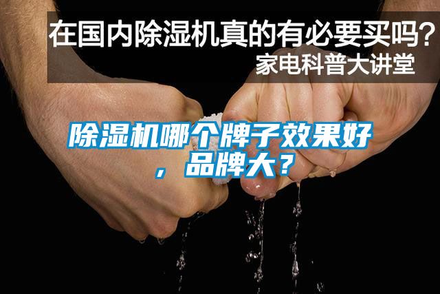 除濕機哪個牌子效果好，品牌大？