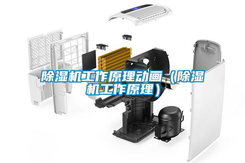 除濕機(jī)工作原理動(dòng)畫(huà)（除濕機(jī)工作原理）