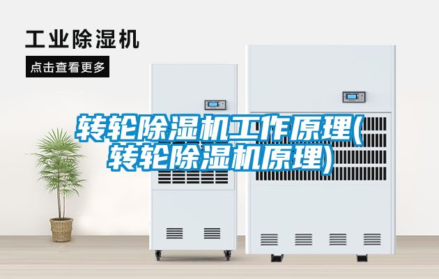 轉(zhuǎn)輪除濕機(jī)工作原理(轉(zhuǎn)輪除濕機(jī)原理)