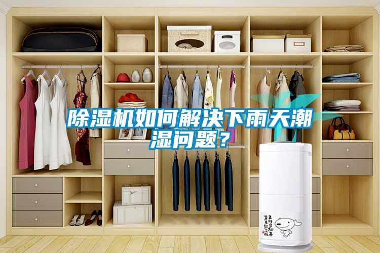 除濕機如何解決下雨天潮濕問題？