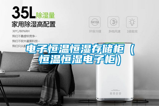 電子恒溫恒濕存儲(chǔ)柜(恒溫恒濕電子柜)