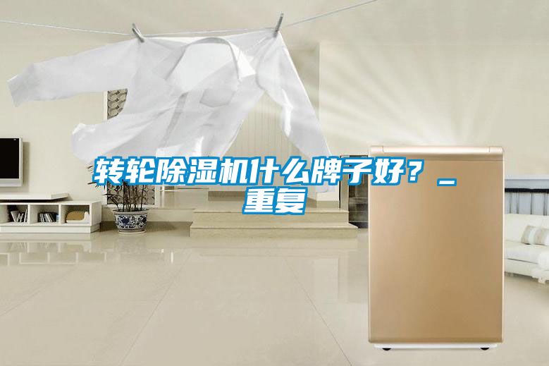 轉(zhuǎn)輪除濕機(jī)什么牌子好？_重復(fù)